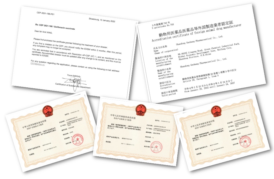 尊龙凯时(中国)人生就是搏!